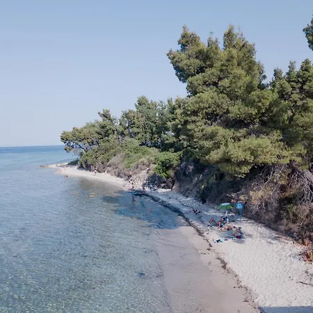 Rocabella * Криопиги